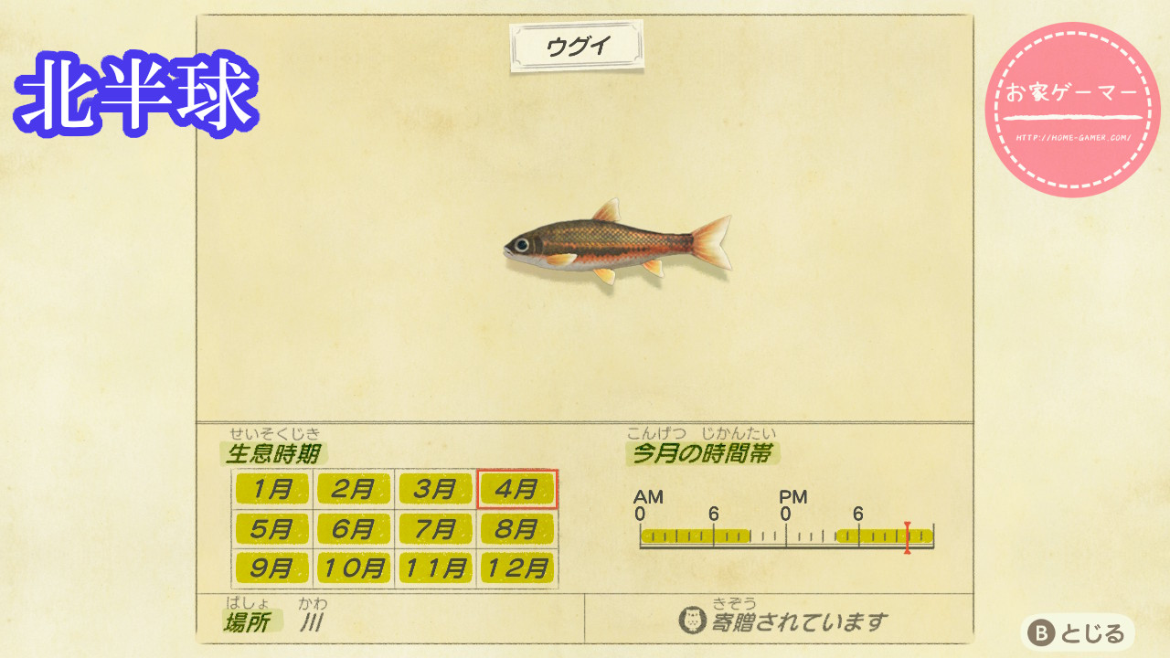令和2年5月更新 あつまれ どうぶつの森 魚図鑑 コンプリートへの道 お家ゲーマ