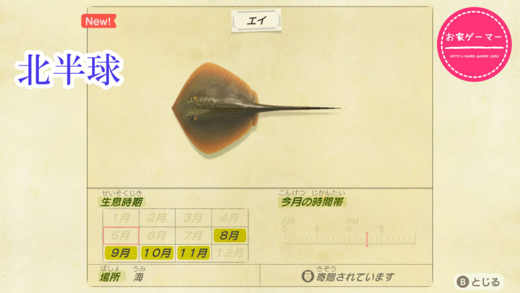 令和2年5月更新 あつまれ どうぶつの森 魚図鑑 コンプリートへの道 ページ 6 お家ゲーマ