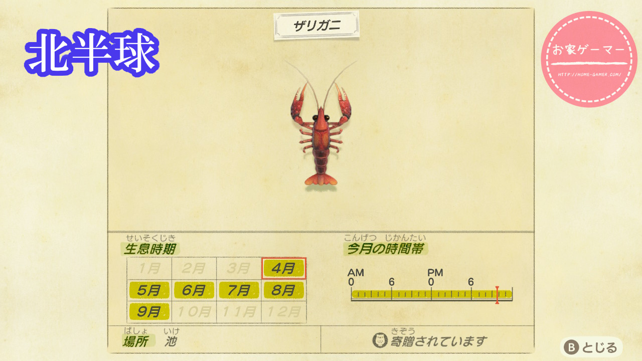 令和2年5月更新 あつまれ どうぶつの森 魚図鑑 コンプリートへの道 ページ 3 お家ゲーマ