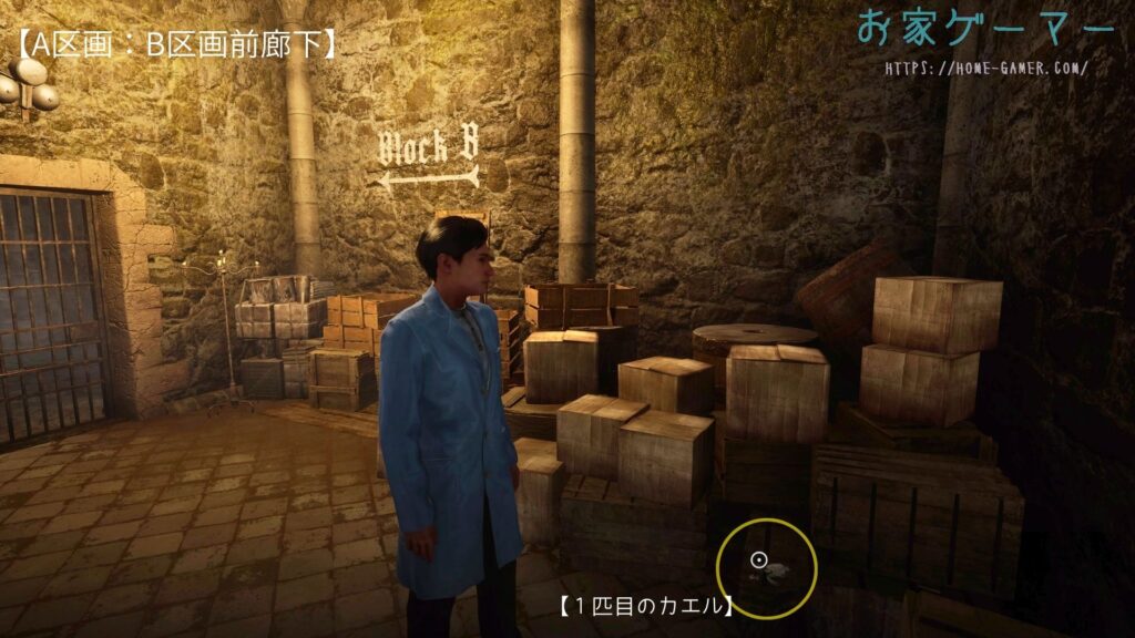 Sherlock Holmes The Awakened ,シャーロックホームズ, アウェイクニング,攻略,チャプター3,狂気の山,DLC,サイドクエスト,壁の中の蛙,1匹目のカエル