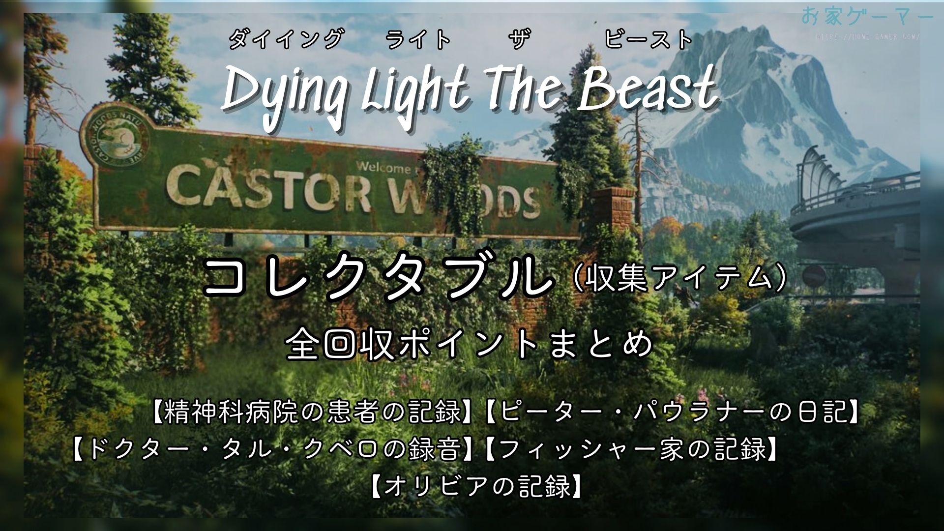 精神科病院の患者の記録,フィッシャー家の記録,ドクター・タル・クベロの音声,ピーター・パウラナーの日記,オリビアの記録,MAP,地図